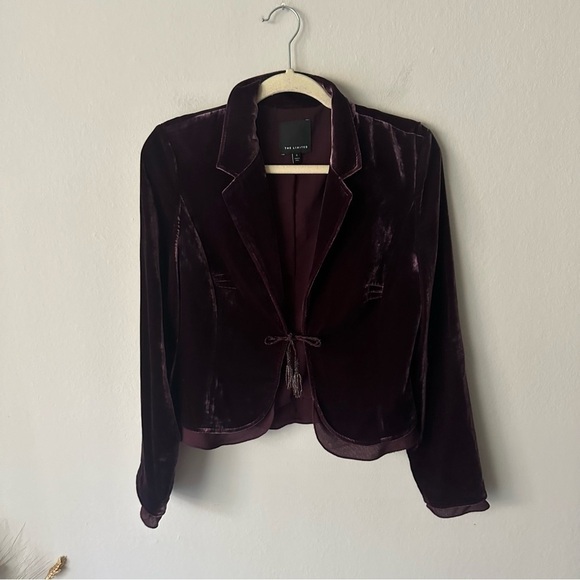 The Limited Jackets & Blazers - The Limited Vintage Velour Holiday Front Tie Blazer in Burgundy Small Holiday